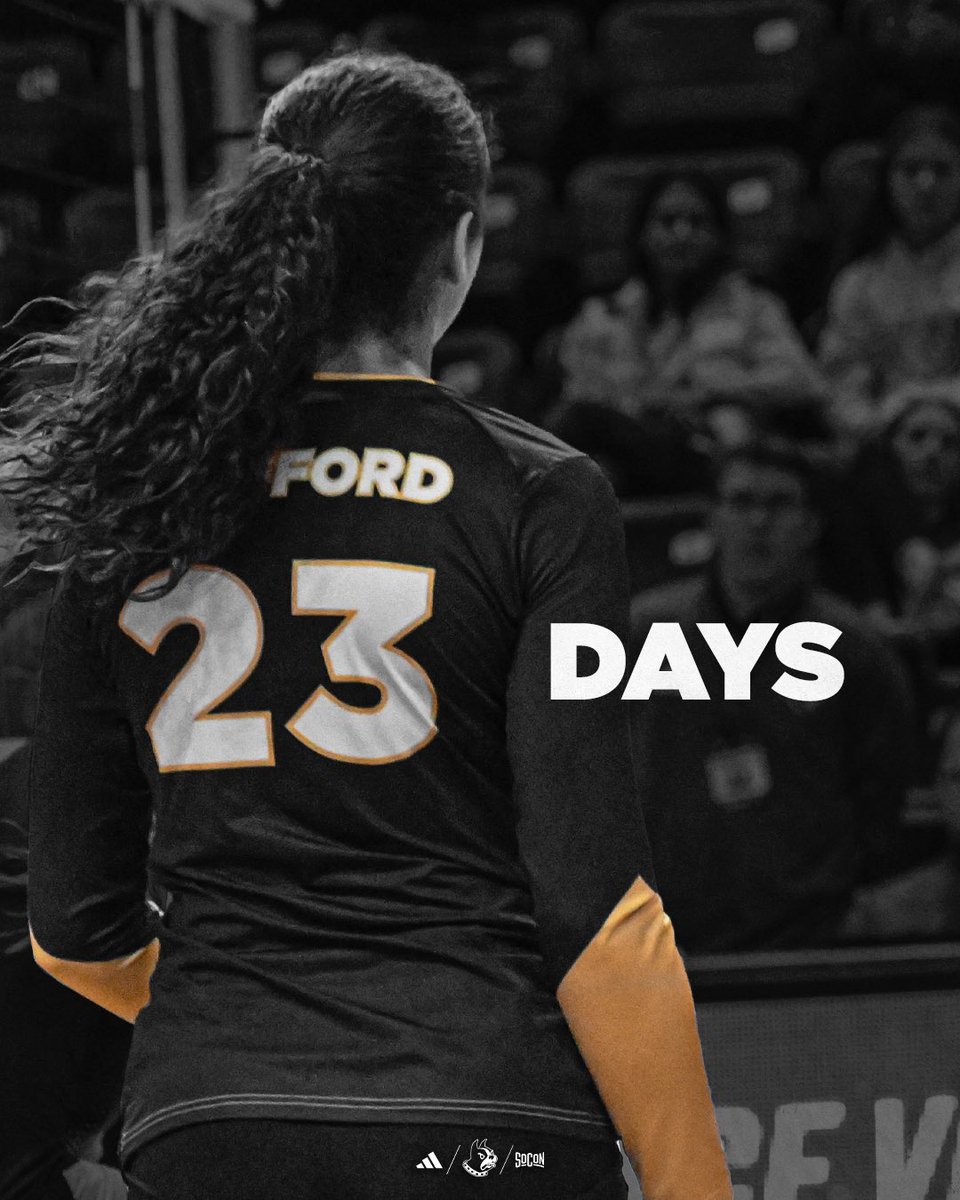 Wofford Volleyball (@woffordvb) on Twitter photo The countdown continues as we’re now Bradley Brown days away from the start of the season!
#ConquerAndPrevail The countdown continues as we’re now Bradley Brown days away from the start of the season!
#ConquerAndPrevail