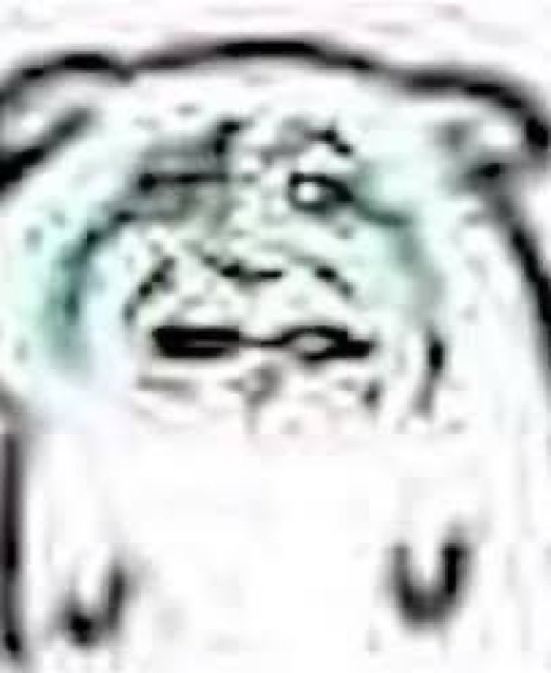 GblinApprentice's tweet photo. I WILL NOT #ADOPT YOUR HOMUNCULUS, I WILL NOT #WATCH YOUR HOMUNCULUS, I WILL NOT #FEED YOUR HOMUNCULUS, I WILL NOT #BATHE YOUR HOMUNCULUS
STOP. THIS. FOOLISHNESS!!!! THEY ARE #PILING ON MY DOORSTEP, GURGLING BABBLING AND #STINKING THE WHOLE YARD UP!!!!!! https://t.co/EDvahRsC6Z
