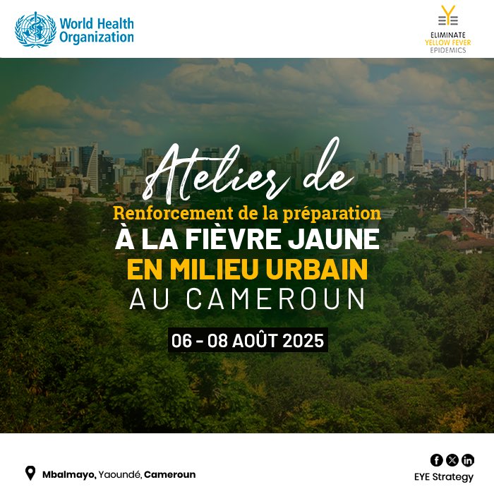 Eliminate Yellow Fever Epidemics (EYE) Strategy tweet media