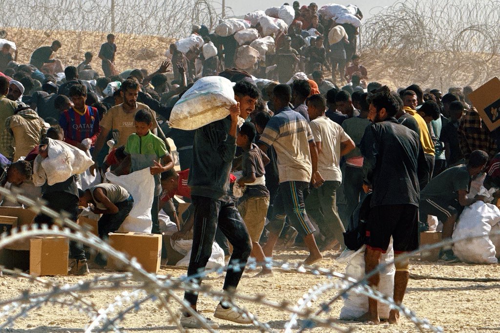 Experience Humans tweet media