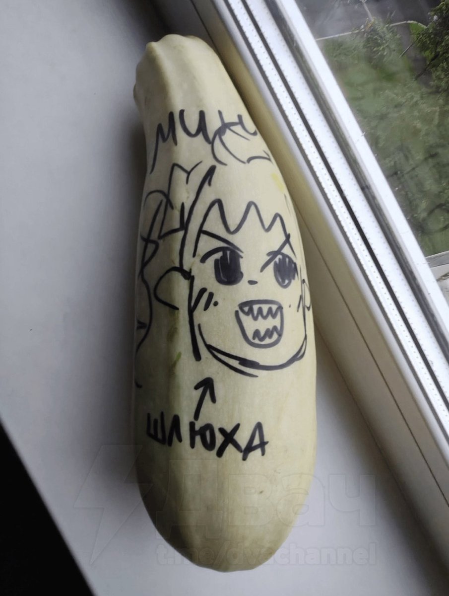 Бляяяяяяяяяяяхахаххахахаххаххахаа меня в слюни разъебало с этого кабачка