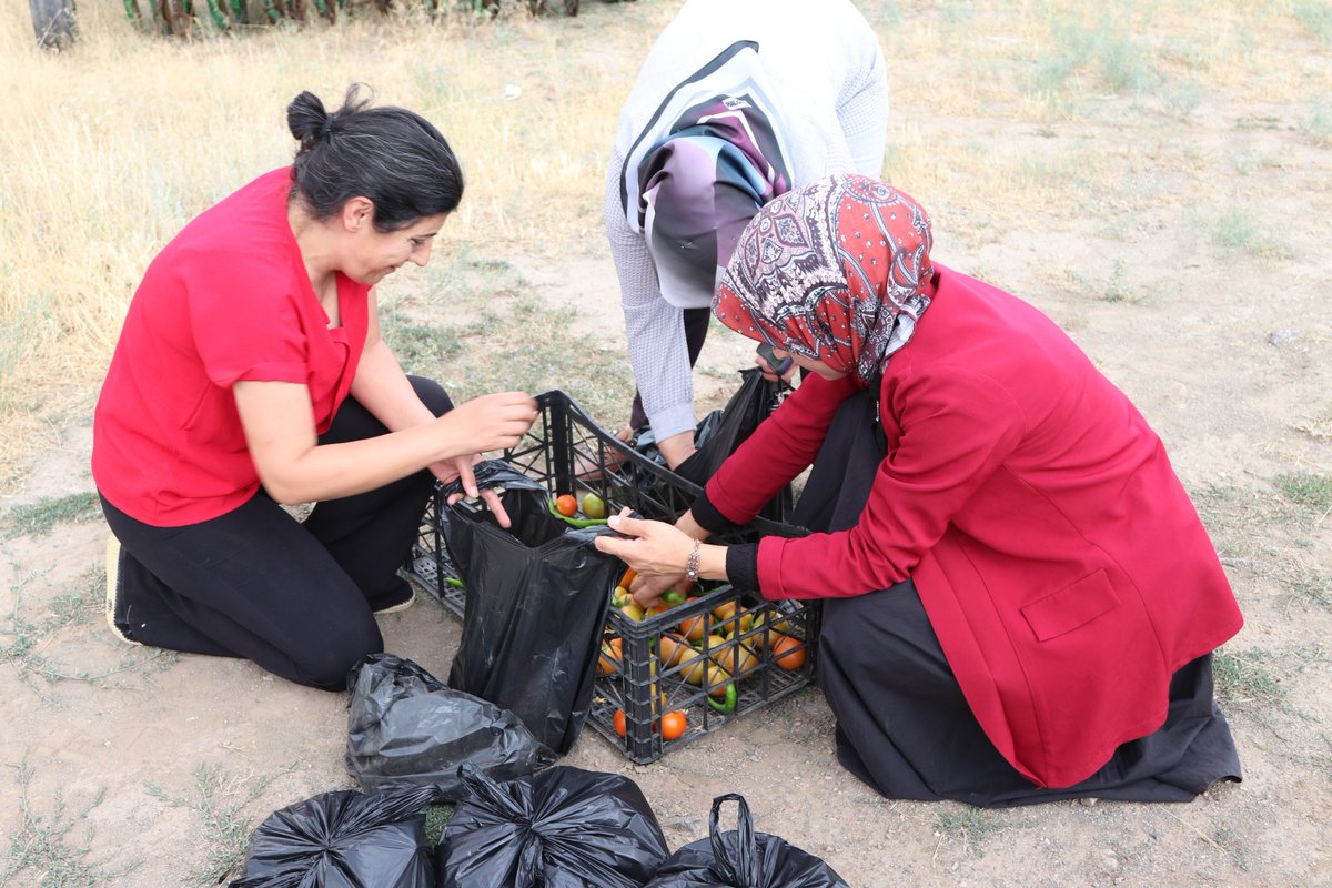 🌾Kadın Emeğiyle Büyüyen Kent: Özalp Belediyesi Kadın Bostanı İlk Hasadını Verdi  

♀️Kadının emeğiyle yeşeren, dayanışmayla büyüyen Kadın Bostanı ilk meyvesini verdi.
Eşbaşkanımız Sakine Kutpınar ve kadın arkadaşlarımızla birlikte, ilk günden bu yana toprağa hayat veren eller,