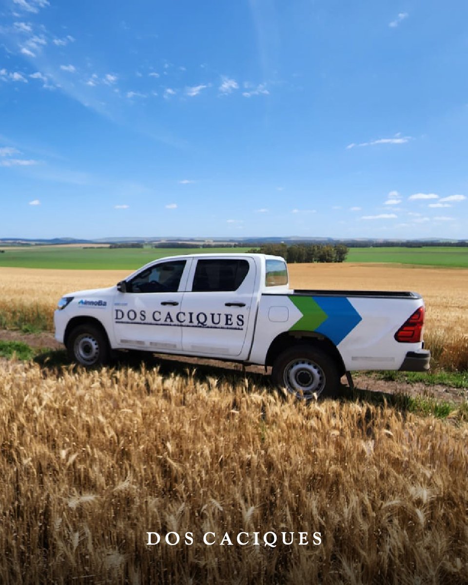 Hoy celebramos a los profesionales que hacen del campo un motor en marcha 🌾💪🏻

Feliz día, ingenieros agrónomos 🌱 Y también a los veterinarios, por su labor diaria en el campo 🐄