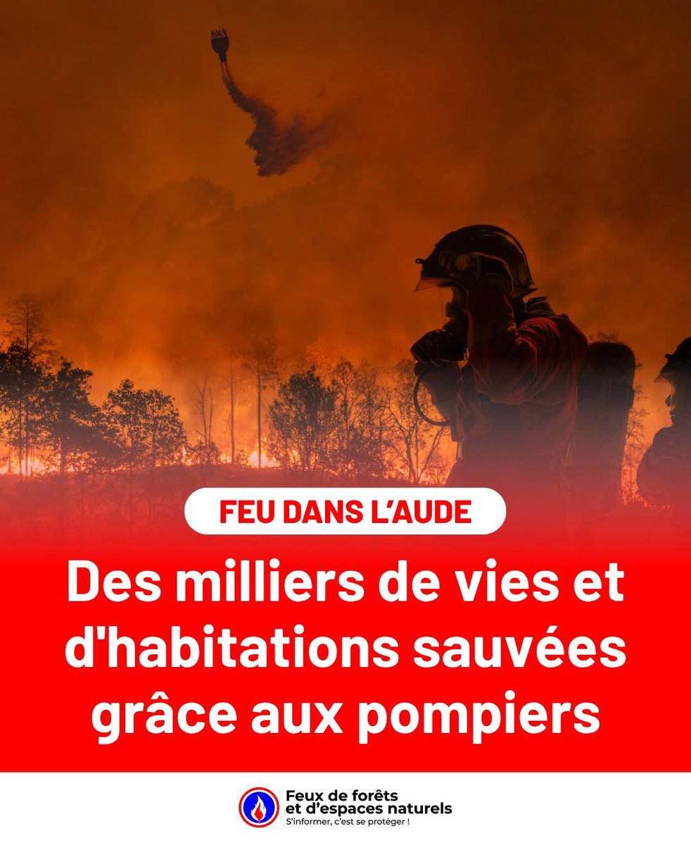 Feux de Forêt tweet media