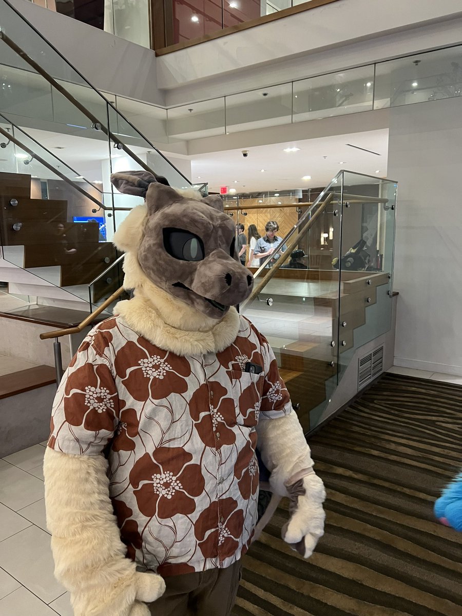 More pictures tome from my #Canfur2025