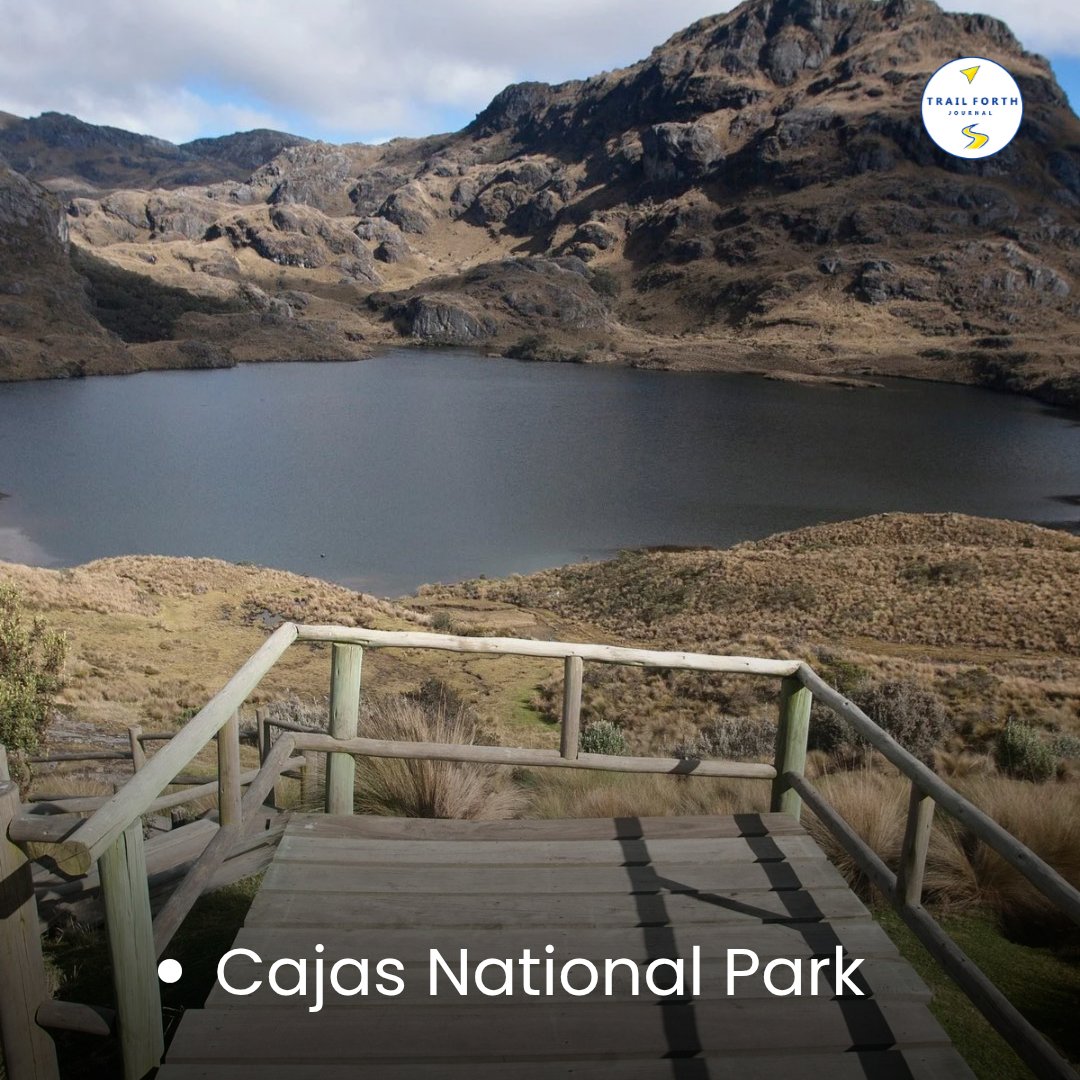 trailforth's tweet image. 🌲 ⛰️ Cajas National Park, in Ecuador, offers glacial lagoons, Andean mountains, and biodiverse páramo ecosystems. It&apos;s ideal for hiking, birdwatching, and connecting with nature in a breathtaking landscape.

trailforthjournal.com/en/adventure/c…

#Ecuador 🇪🇨 #Azuay 🌱 #Cuenca