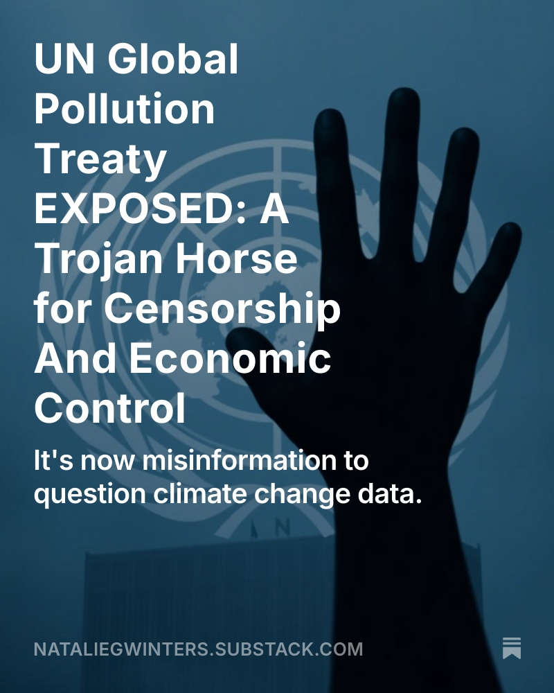 UN Global Pollution Treaty EXPOSED: A Trojan Horse for Censorship And Economic Control

⬇️⬇️⬇️

nataliegwinters.substack.com/p/un-global-po…