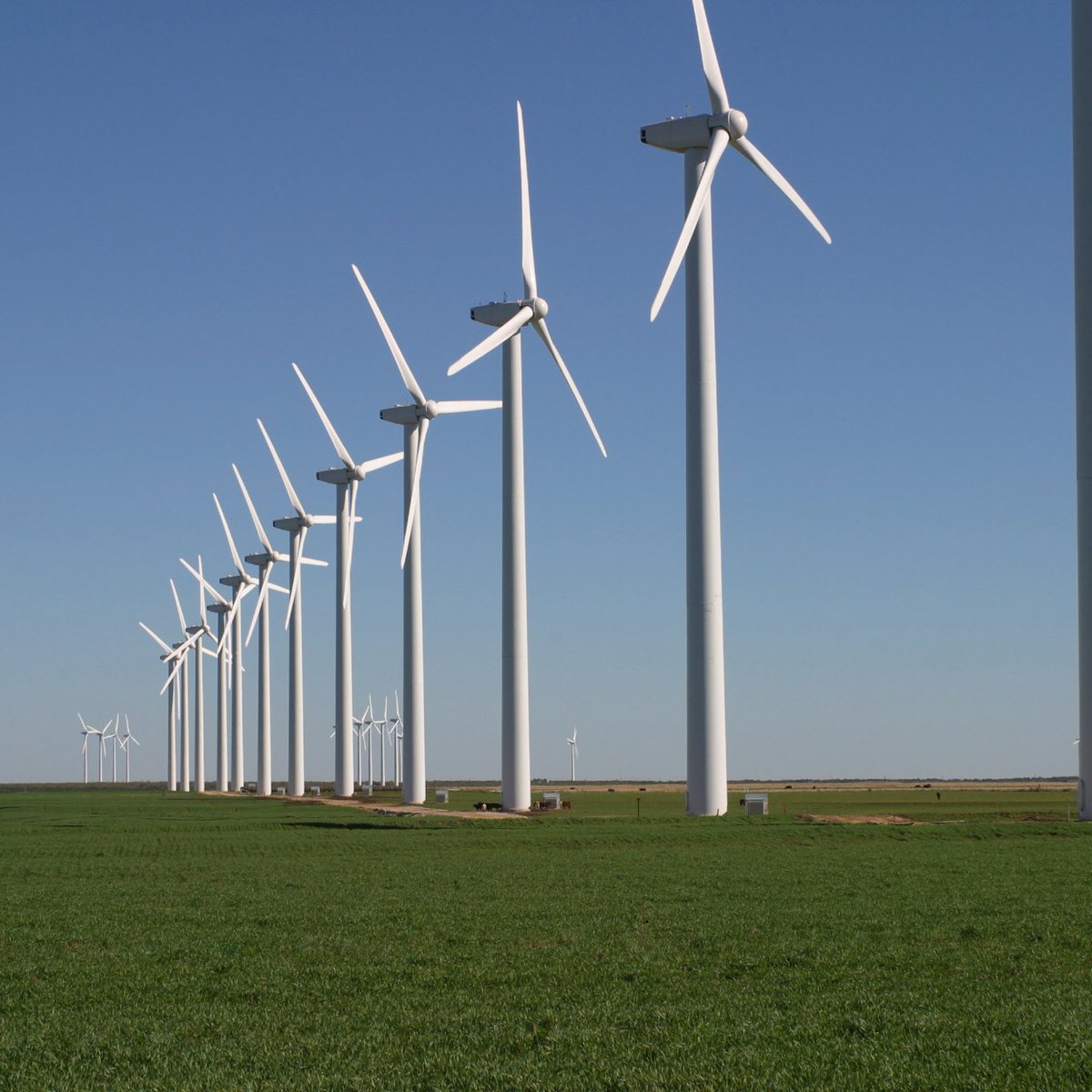 Eric Daugherty (@ericldaugh) on Twitter photo 🚨 BREAKING: President Trump just abruptly CANCELED a massive wind farm approved in the final moments of the Biden administration.
It would’ve WRECKED over 57,000 acres of Idaho land - one of the largest would-be farms in the country.
Now it won’t. 
Trump is on an absolute 🚨 BREAKING: President Trump just abruptly CANCELED a massive wind farm approved in the final moments of the Biden administration.
It would’ve WRECKED over 57,000 acres of Idaho land - one of the largest would-be farms in the country.
Now it won’t. 
Trump is on an absolute