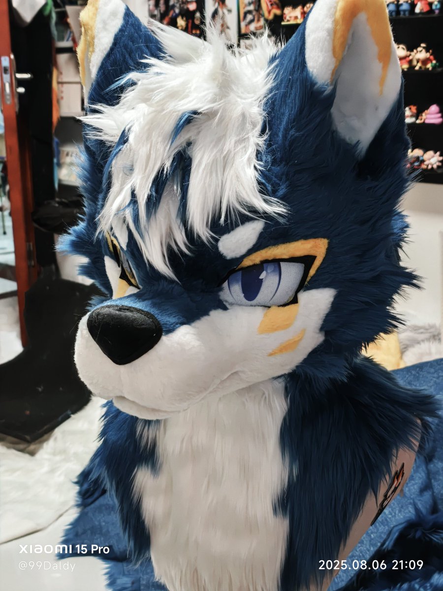 Preview!
蓝色系再+1