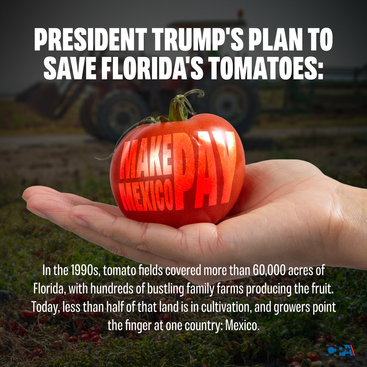 In July, <a href="/POTUS/">President Donald J. Trump</a> sided with Florida farmers, imposing a 17% anti-dumping duty on Mexican tomatoes and accusing producers of selling at less than the cost of production. 

U.S. growers see the levy as a lifeline for their declining industry.

tinyurl.com/2e4uyar4