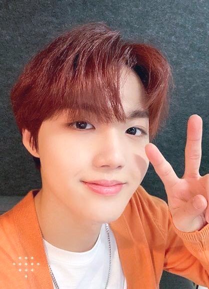 D0KYE0MM's tweet photo. w my bf
#TMSD #TreasureMakerSelcaDay #TeumeSelcaDay #TREASURE #트레저 #DOYOUN https://t.co/O8ODahqHni