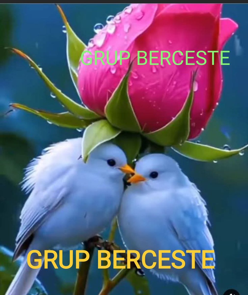 💕𑜞᭄ °•°Pişştt...Herkes işine baksın 💕𑜞᭄ (@ik_ra1) on Twitter photo 🧿BER©️£ST£🧿
 ⏫
<a href="/Ertyks/">ERTUĞRUL 🇹🇷</a>
<a href="/nryd37/">Nuray</a>
<a href="/1omar42/">CNK</a>
<a href="/Ertyks1/">ERTUĞRUL 🇹🇷</a>
<a href="/Glsm21/">@Glsm</a>
<a href="/1_drs42/">Dursun</a>
<a href="/20ysf1/">Yusuf</a>
<a href="/_tb35/">Ömer Güngör</a>
<a href="/6hk34/">Hakan Kaynak</a>
<a href="/ik_ra1/">💕𑜞᭄ °•°Pişştt...Herkes işine baksın 💕𑜞᭄</a>
<a href="/ik_ra3/">ikra❤2</a>
<a href="/mhmttt_3/">Memo3</a>
<a href="/mhmtt122/">🅼🅴🅼🅾</a>
<a href="/drssn_42/">Dursun</a>
@ysldede
<a href="/Atkn90/">Atakan</a>
<a href="/_Dy35/">DOLUNAY</a>
<a href="/i_69is/">SEVDAMIZ _76 🇹🇷🇹🇷</a>
<a href="/SiirSL_/">𝗦𝗶𝗶𝗿𝗦𝗟_💣💯✌️💯✌️💯✌️</a>
<a href="/SiirSL1/">🌬️@SiirSL1🎊🎊</a>
<a href="/2_Talh/">Talha</a>
<a href="/Ert_yks/">ERTUĞRUL 🇹🇷</a>
<a href="/nykdmrl/">Nur🌙</a>
<a href="/mmkral_/">Ahmet</a>
<a href="/Ela0633/">💕Ela 💕</a>
<a href="/Anajbejeb/">Elazığ 2323</a>
♦️🔘🔗 🧿BER©️£ST£🧿
 ⏫
<a href="/Ertyks/">ERTUĞRUL 🇹🇷</a>
<a href="/nryd37/">Nuray</a>
<a href="/1omar42/">CNK</a>
<a href="/Ertyks1/">ERTUĞRUL 🇹🇷</a>
<a href="/Glsm21/">@Glsm</a>
<a href="/1_drs42/">Dursun</a>
<a href="/20ysf1/">Yusuf</a>
<a href="/_tb35/">Ömer Güngör</a>
<a href="/6hk34/">Hakan Kaynak</a>
<a href="/ik_ra1/">💕𑜞᭄ °•°Pişştt...Herkes işine baksın 💕𑜞᭄</a>
<a href="/ik_ra3/">ikra❤2</a>
<a href="/mhmttt_3/">Memo3</a>
<a href="/mhmtt122/">🅼🅴🅼🅾</a>
<a href="/drssn_42/">Dursun</a>
@ysldede
<a href="/Atkn90/">Atakan</a>
<a href="/_Dy35/">DOLUNAY</a>
<a href="/i_69is/">SEVDAMIZ _76 🇹🇷🇹🇷</a>
<a href="/SiirSL_/">𝗦𝗶𝗶𝗿𝗦𝗟_💣💯✌️💯✌️💯✌️</a>
<a href="/SiirSL1/">🌬️@SiirSL1🎊🎊</a>
<a href="/2_Talh/">Talha</a>
<a href="/Ert_yks/">ERTUĞRUL 🇹🇷</a>
<a href="/nykdmrl/">Nur🌙</a>
<a href="/mmkral_/">Ahmet</a>
<a href="/Ela0633/">💕Ela 💕</a>
<a href="/Anajbejeb/">Elazığ 2323</a>
♦️🔘🔗