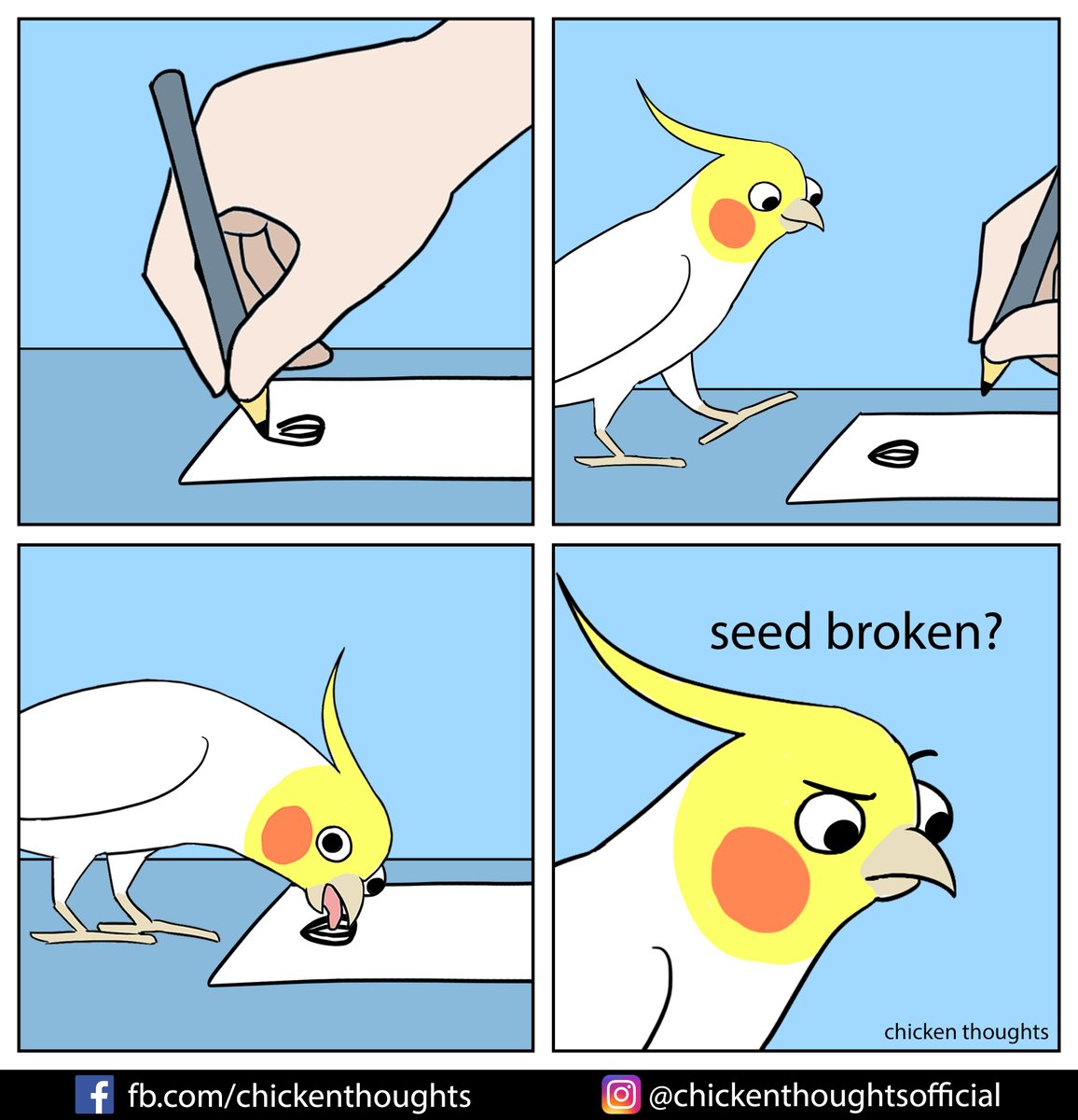 ChickyThoughts's tweet image. 