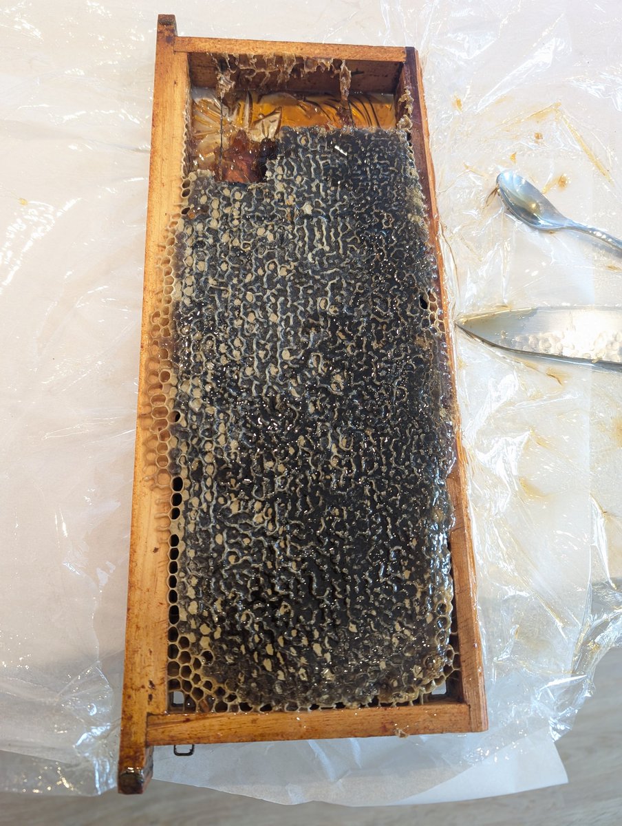 Wife bought honeycomb. At first I told her wtf, now I am so into it, it's magical.