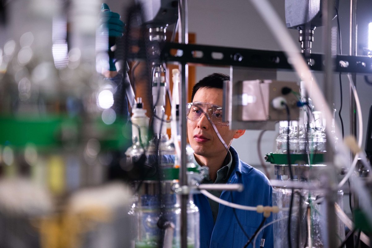 michigantech's tweet image. @MTU_Engineering’s Lei Pan is rethinking how we extract critical materials using novel tech to secure supply chains and sink carbon emissions back into the earth. 🪨

Read on: mtu.news/farQ50W08Zv
#MiningInnovation