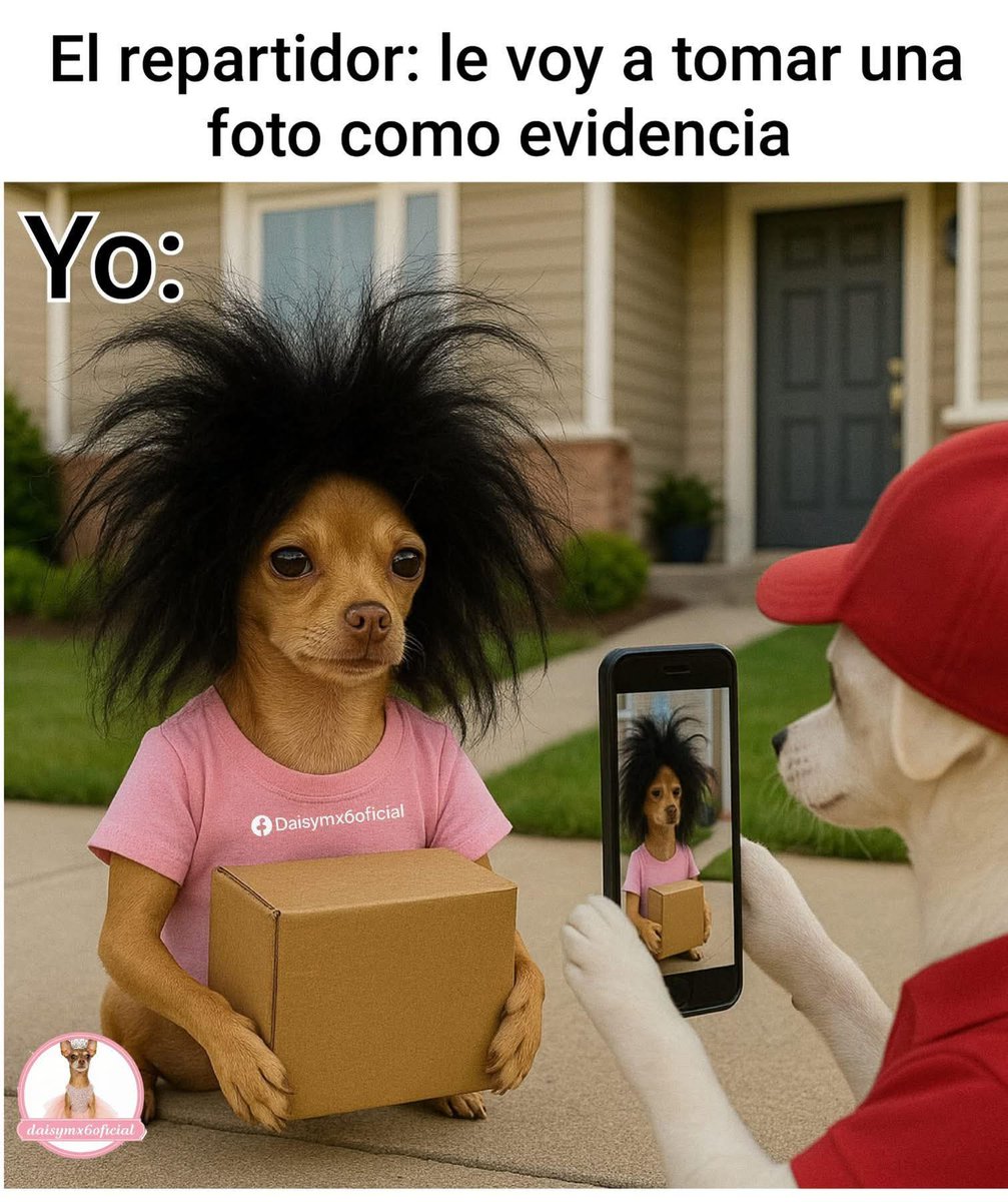 El Meme (@memessv7) on Twitter photo 