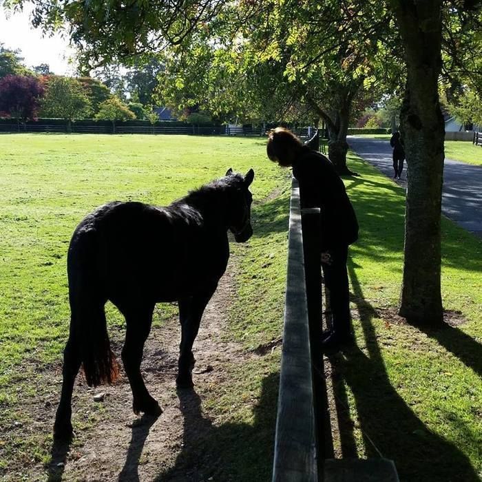 williamlstuart (@williamlstuart) on Twitter photo Do you enjoy adventure and romance set in Ireland? Discover and read my wonderful tweep <a href="/Pat_McDermott/">Pat McDermott</a>! Find out more at buff.ly/c6JgDxB or buff.ly/3YayK4R
#romance #Ireland #readandreview #follow Do you enjoy adventure and romance set in Ireland? Discover and read my wonderful tweep <a href="/Pat_McDermott/">Pat McDermott</a>! Find out more at buff.ly/c6JgDxB or buff.ly/3YayK4R
#romance #Ireland #readandreview #follow