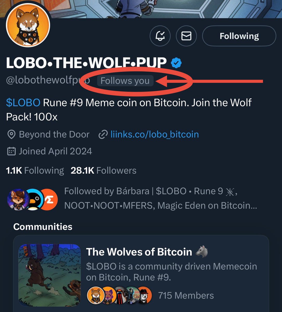 Noa’s Dad (@noas_dad) on Twitter photo Thank you for the follow my brother!
This $LOBO journey is going to be one for the BOOKS!
Please follow all of <a href="/lobothewolfpup/">LOBO•THE•WOLF•PUP</a> links and follow the account as well!
$LOBO is going to melt faces!
$LOBO #9 #TheSilentKill
$LOBO #TheWolfPup Thank you for the follow my brother!
This $LOBO journey is going to be one for the BOOKS!
Please follow all of <a href="/lobothewolfpup/">LOBO•THE•WOLF•PUP</a> links and follow the account as well!
$LOBO is going to melt faces!
$LOBO #9 #TheSilentKill
$LOBO #TheWolfPup