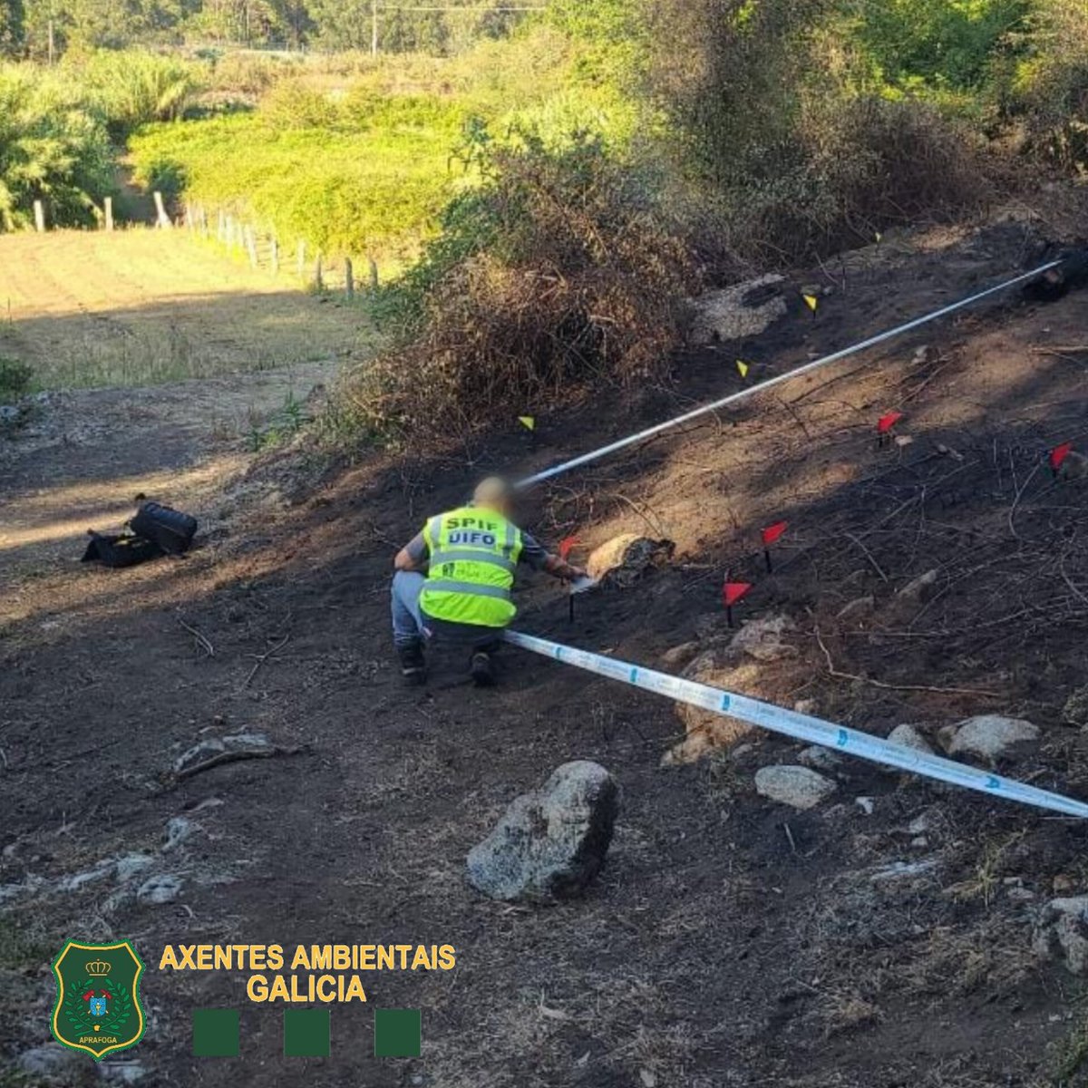 Asociación🇪🇦Agentes Medioambientales (@aeafma) on Twitter photo Enhorabuena👌🏻
Tras operativo de vigilancias #AxentesAmbientais de la Unidad de Investigación de #IncendiosForestales,de la <a href="/Xunta/">Xunta de Galicia</a>, sorprenden e identifican al autor de varios🔥.
Continúan investigaciones de incendios últimos días.
#PolicíaMedioambiental
xunta.gal/es/notas-de-pr… Enhorabuena👌🏻
Tras operativo de vigilancias #AxentesAmbientais de la Unidad de Investigación de #IncendiosForestales,de la <a href="/Xunta/">Xunta de Galicia</a>, sorprenden e identifican al autor de varios🔥.
Continúan investigaciones de incendios últimos días.
#PolicíaMedioambiental
xunta.gal/es/notas-de-pr…