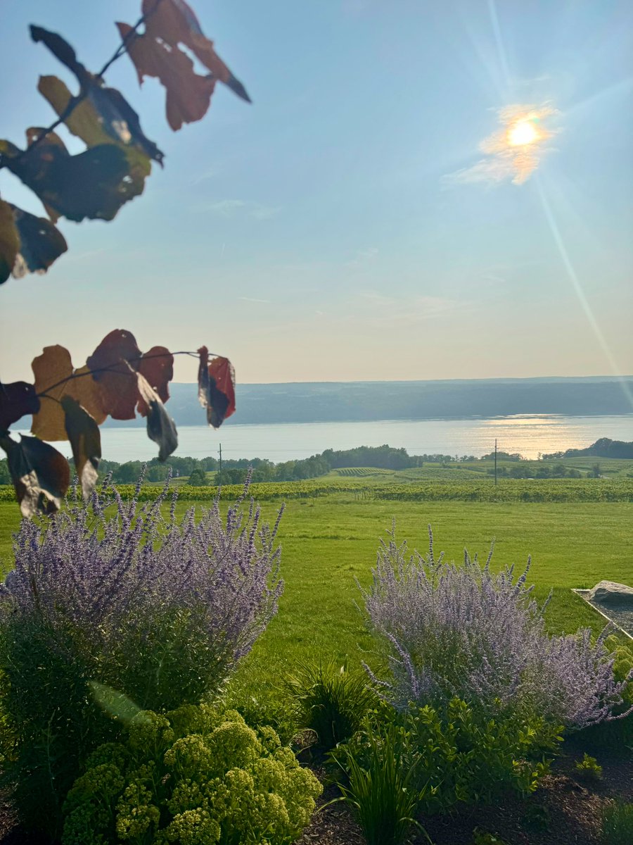 Shannon Lilly (@shannonlillytv) on Twitter photo Some snapshots from my long weekend in Watkins Glen, New York! What a beautiful place. 📸🙌🏼 Some snapshots from my long weekend in Watkins Glen, New York! What a beautiful place. 📸🙌🏼