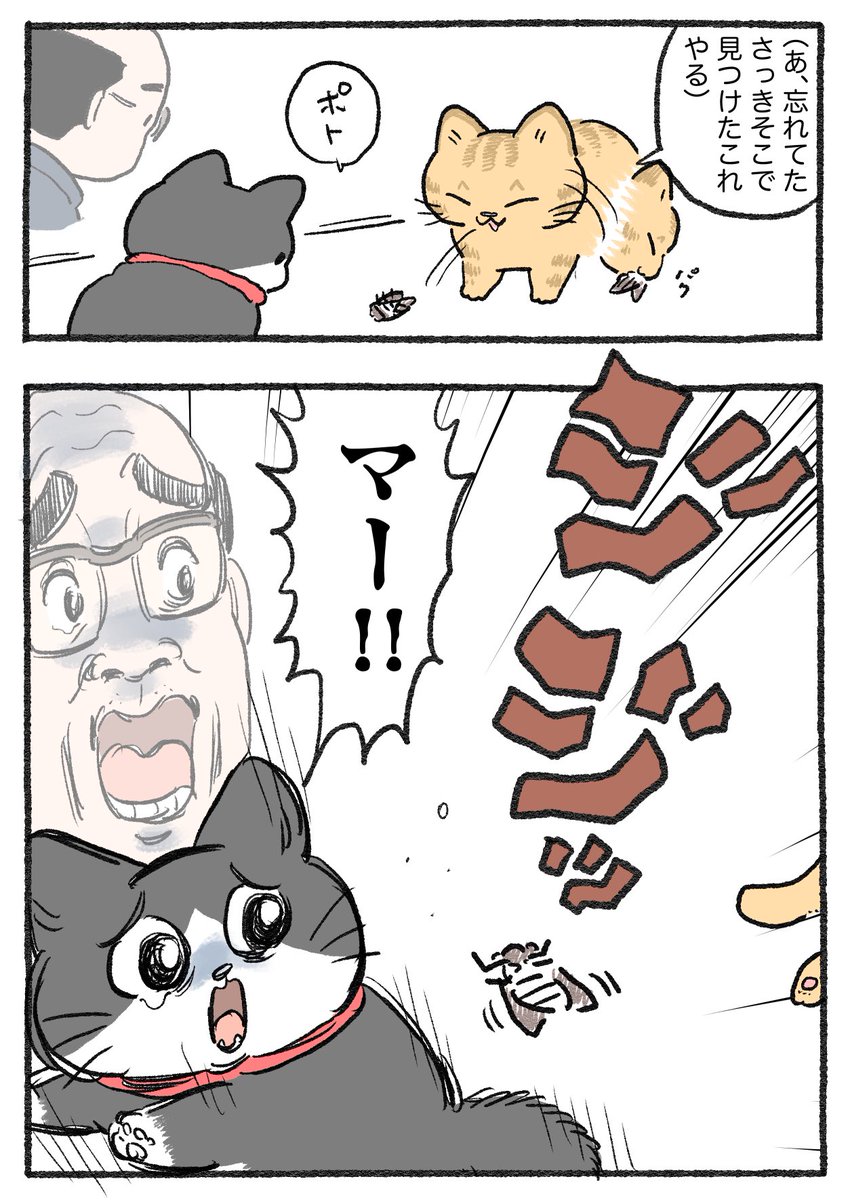 ねこおじ様 ねこに転生したおじさん。その767