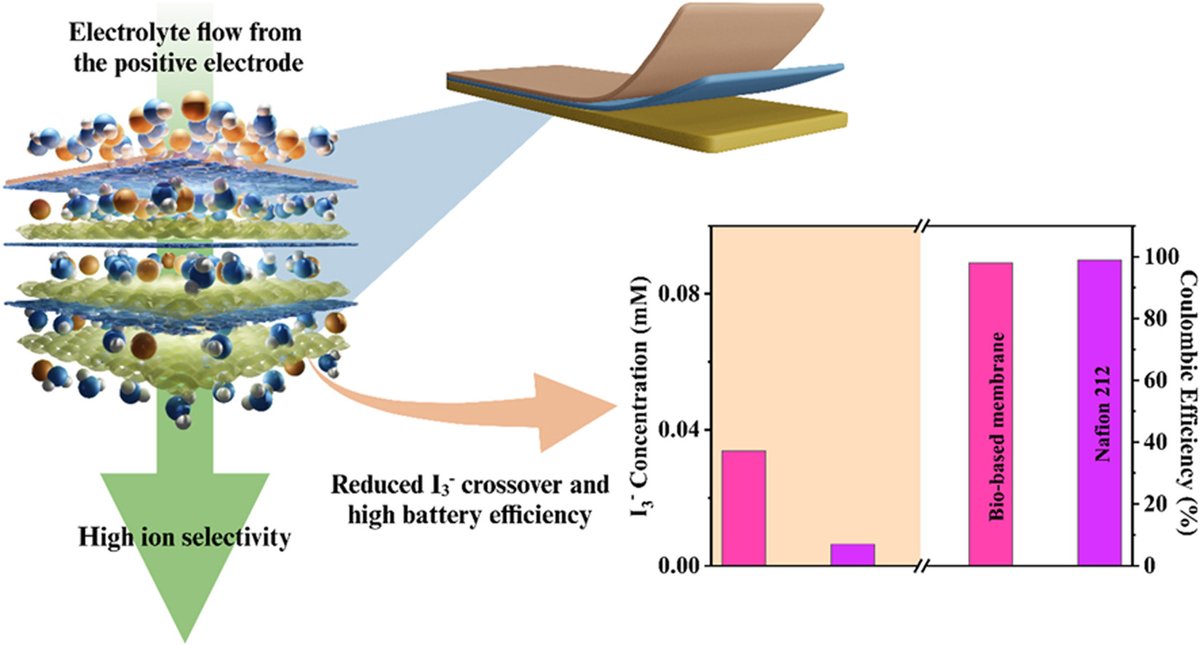 Congrats to Fernanda and colleagues on the new paper! Bio-based sulfonated nanocellulose membranes outperform PFAS PEMs in redox flow batteries: durable, efficient, and scalable! <a href="/UBC/">University of British Columbia</a> <a href="/UBC_AdvMat/">Foster Advanced Materials Group</a> <a href="/CHBEUBC/">CHBE at UBC</a> <a href="/Orlando93842114/">Orlando Rojas</a> 
kwnsfk27.r.eu-west-1.awstrack.me/L0/https:%2F%2…