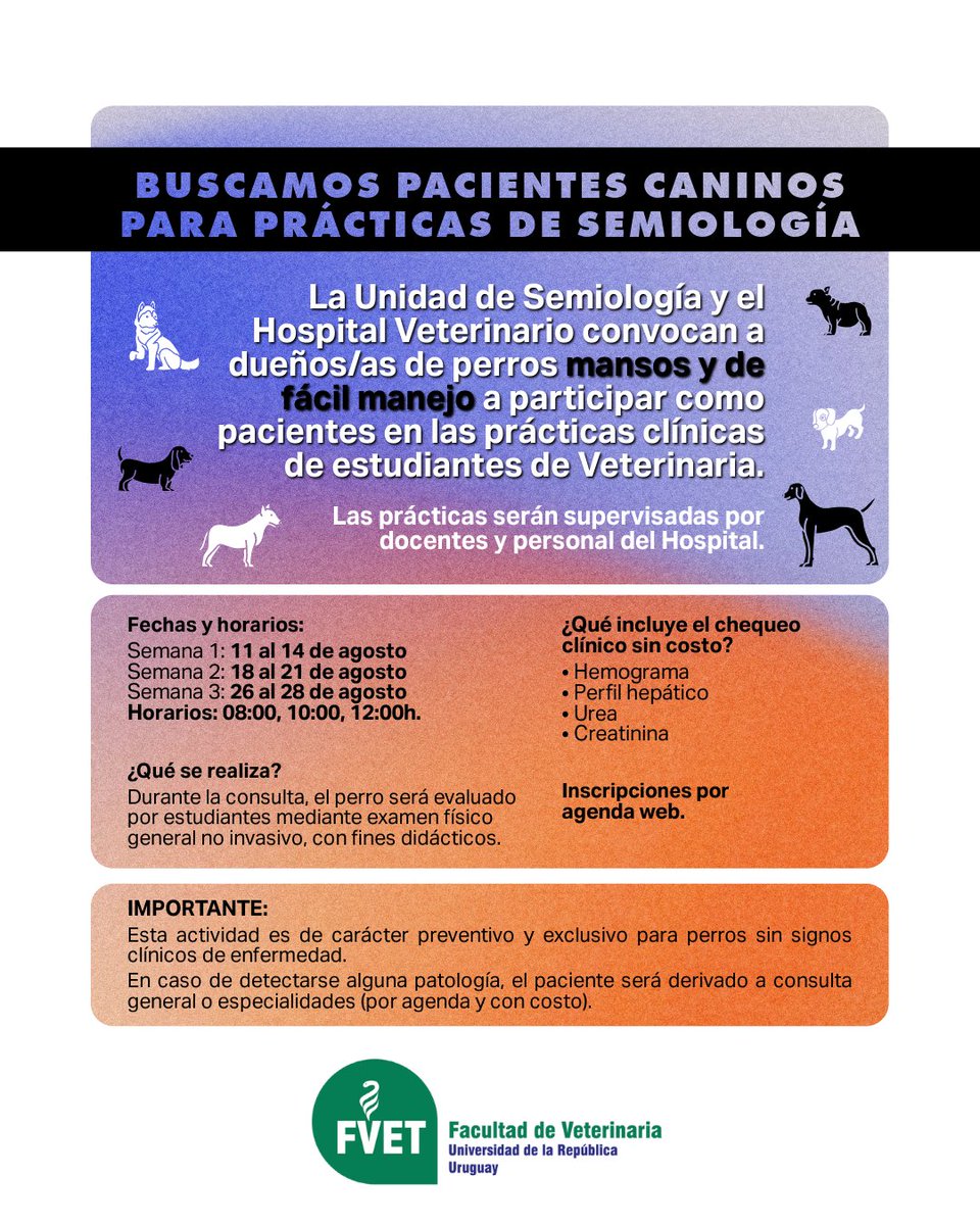 🐶 Chequeo gratuito para caninos: 11 al 28 de agosto de 2025

➡️ Se buscan perros de fácil manejo para las prácticas clínicas de estudiantes de Semiología.

🐕 Inscribí a tu perro (opción «Medicina preventiva» en el desplegable de «Especialidad»):  goo.su/cateo5