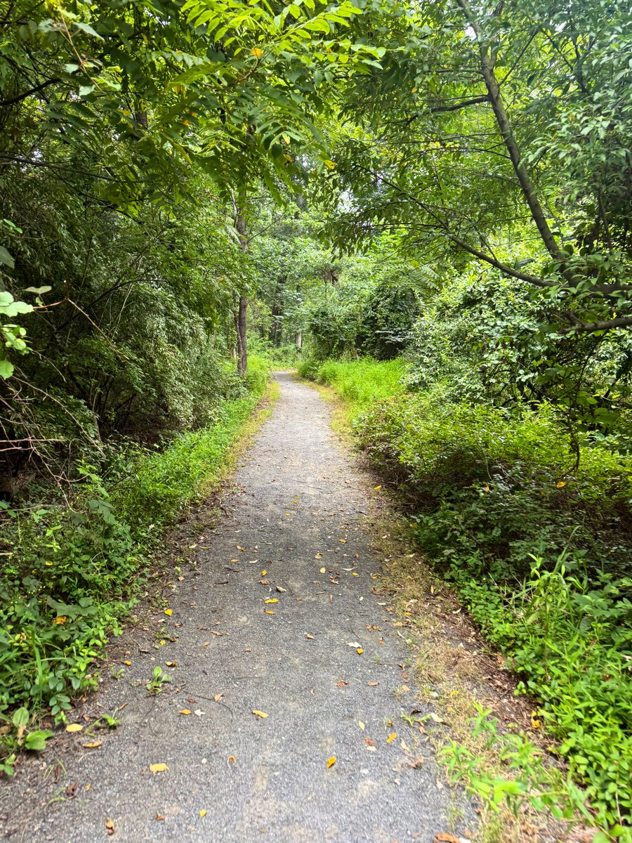 MilePosts's tweet image. fresh air works wonders