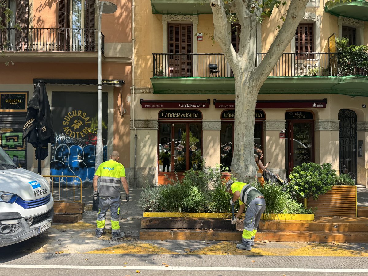La imatge de la vergonya del <a href="/pscbarcelona/">PSC Barcelona/♥️</a>. Voler solucionar un problema de neteja i sensellarisme retirant bancs on seien els veïns cada dia.

Incompetència i populisme.

Retirar bancs no soluciona ni millora res, el contrari, empitjora perquè els veïns perdem espais per seure.