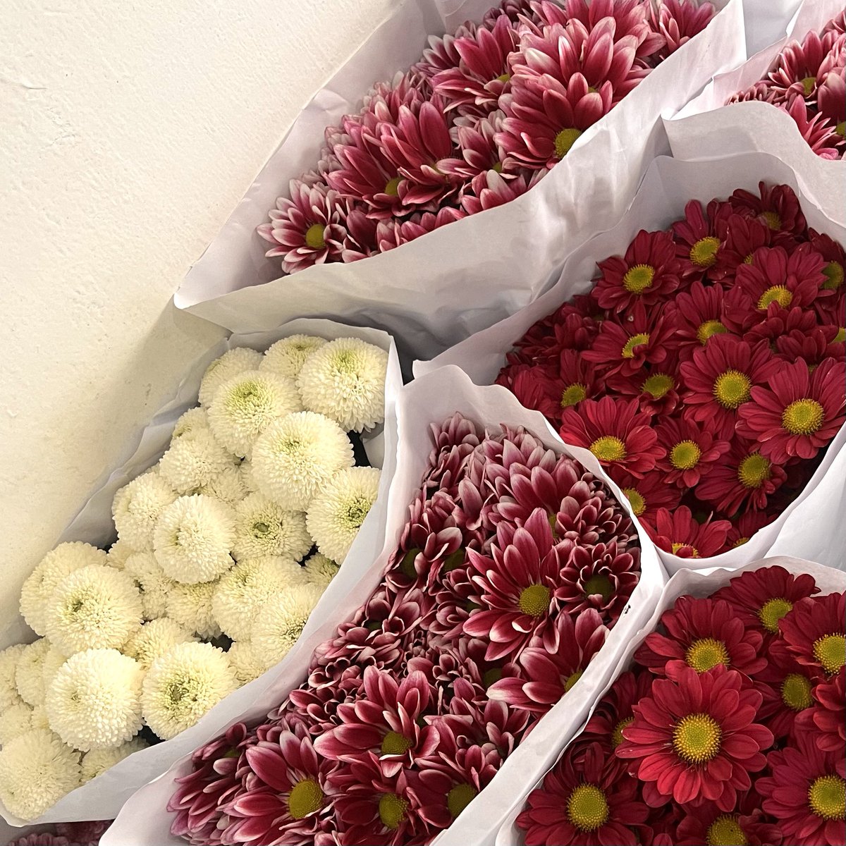 99formarkie's tweet image. life outside twitter 🍪🤎