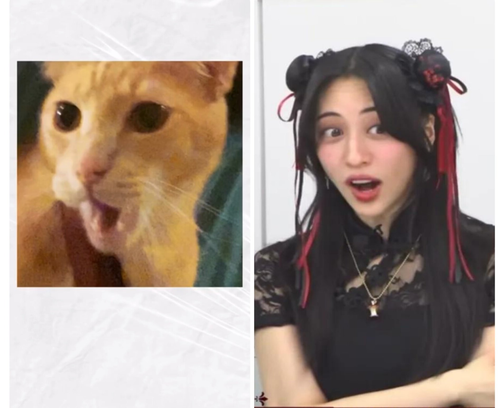 ⭐︎Akane W様おまとめです⭐︎