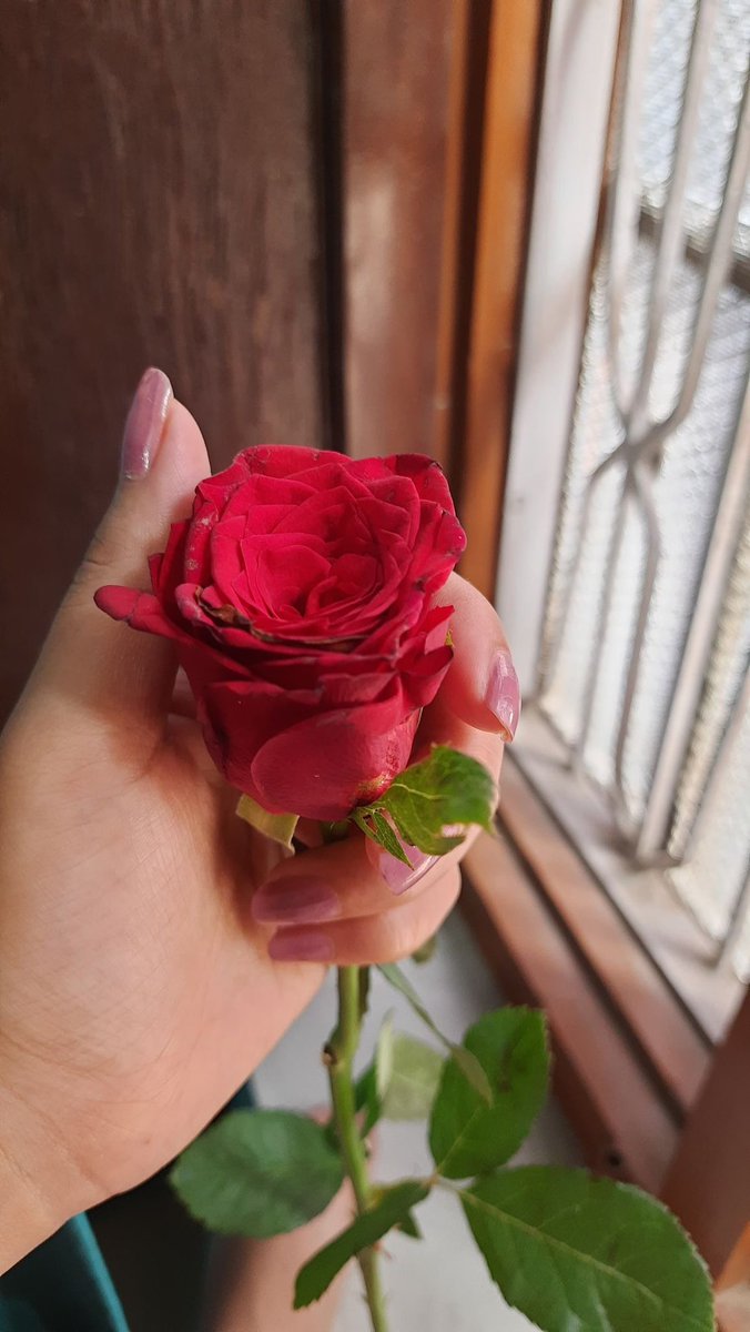 Craig (@craig1852898) on Twitter photo 