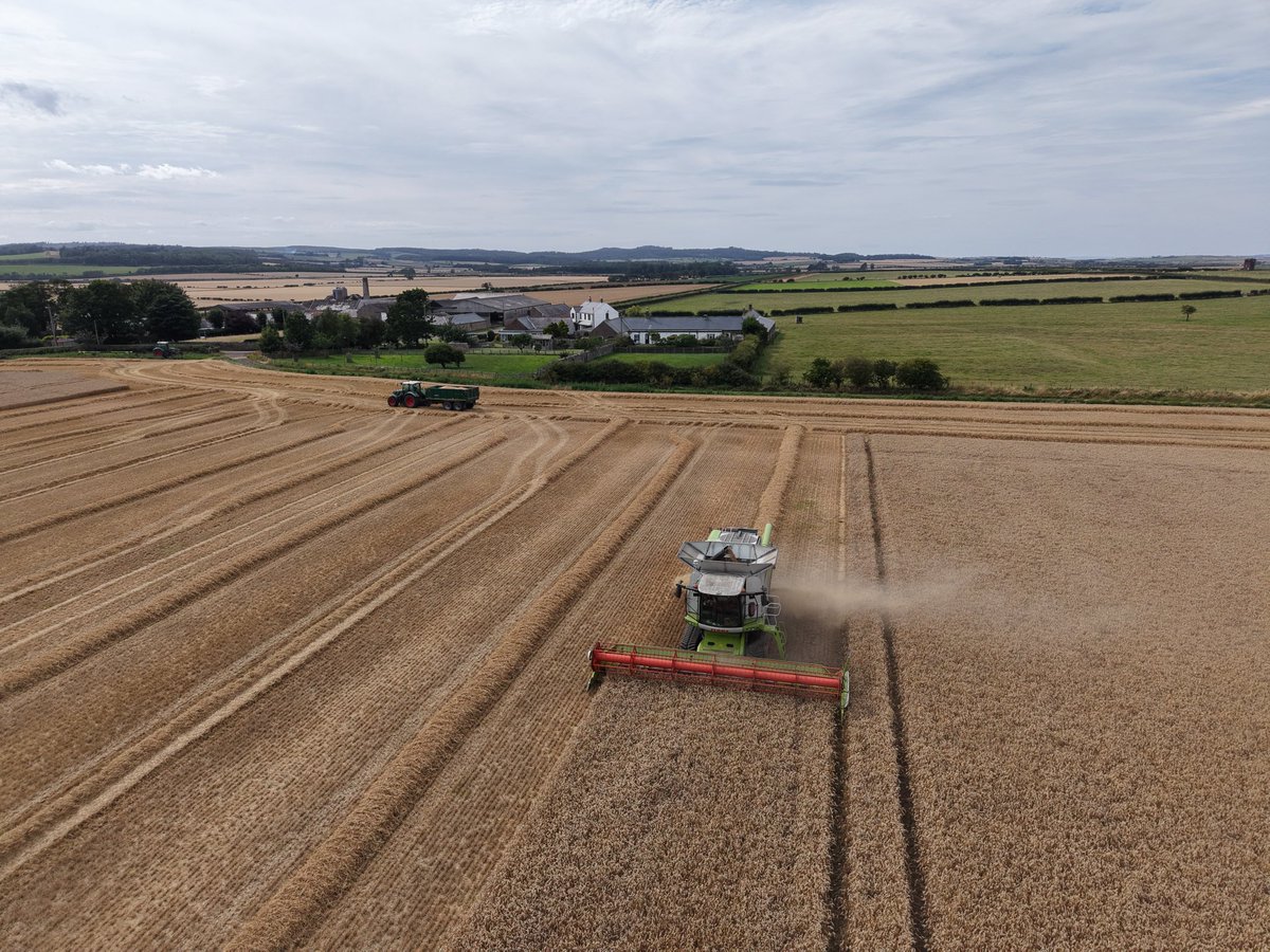 Into the wheat - Graham up first. Header breakdown throwing Ctf out the window