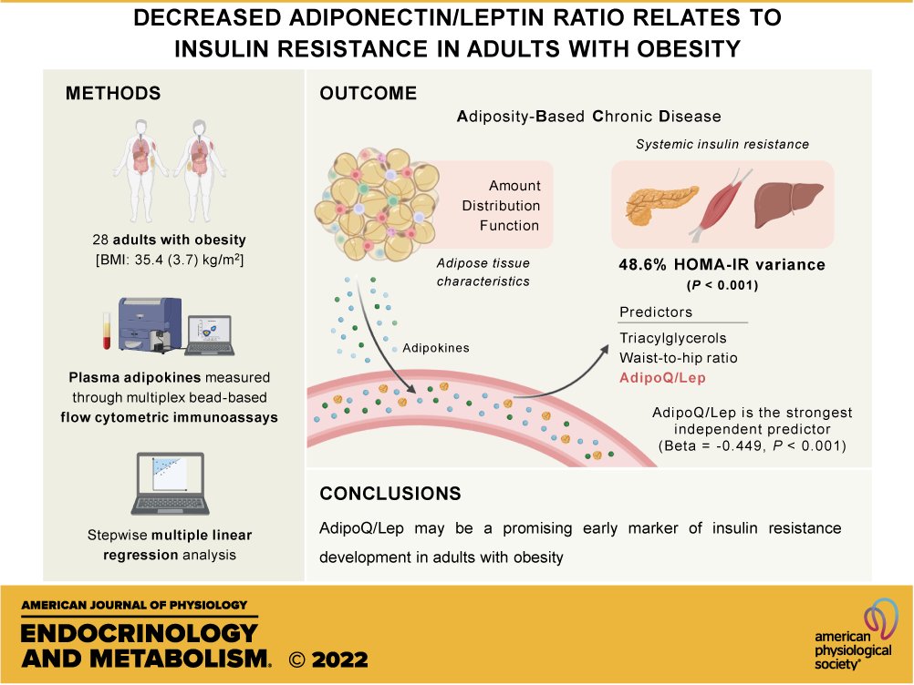 AJPEndoMetab's tweet photo. 🏆 Citation Leader
Decreased adiponectin/leptin ratio relates to #insulin resistance in adults with #obesity
Inês Castela, et al.
🖇️https://t.co/hB2nm32AvU
#AJPEndoMetab #MetabolicDysfunction https://t.co/WYP2g1vl7D