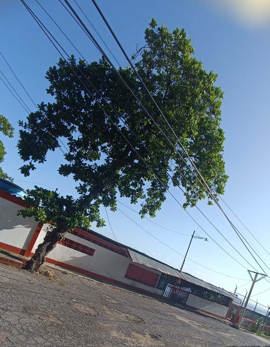 Alguien por aquí lo reconoce? 
Sólo les diré que venden pescado frito de lo mejor 🏖️🎣🐟🦈