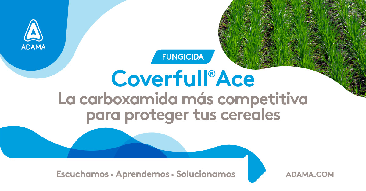 📍 Coverfull Ace te ofrece la combinación de dos activos con diferente sitio de acción (carboxamida + triazol) que permiten reducir la aparición de cepas resistentes 🌾
✅ Muy buena persistencia.
✅ Excelente eficacia en el control de manchas y roya.

Conocé más 🔗