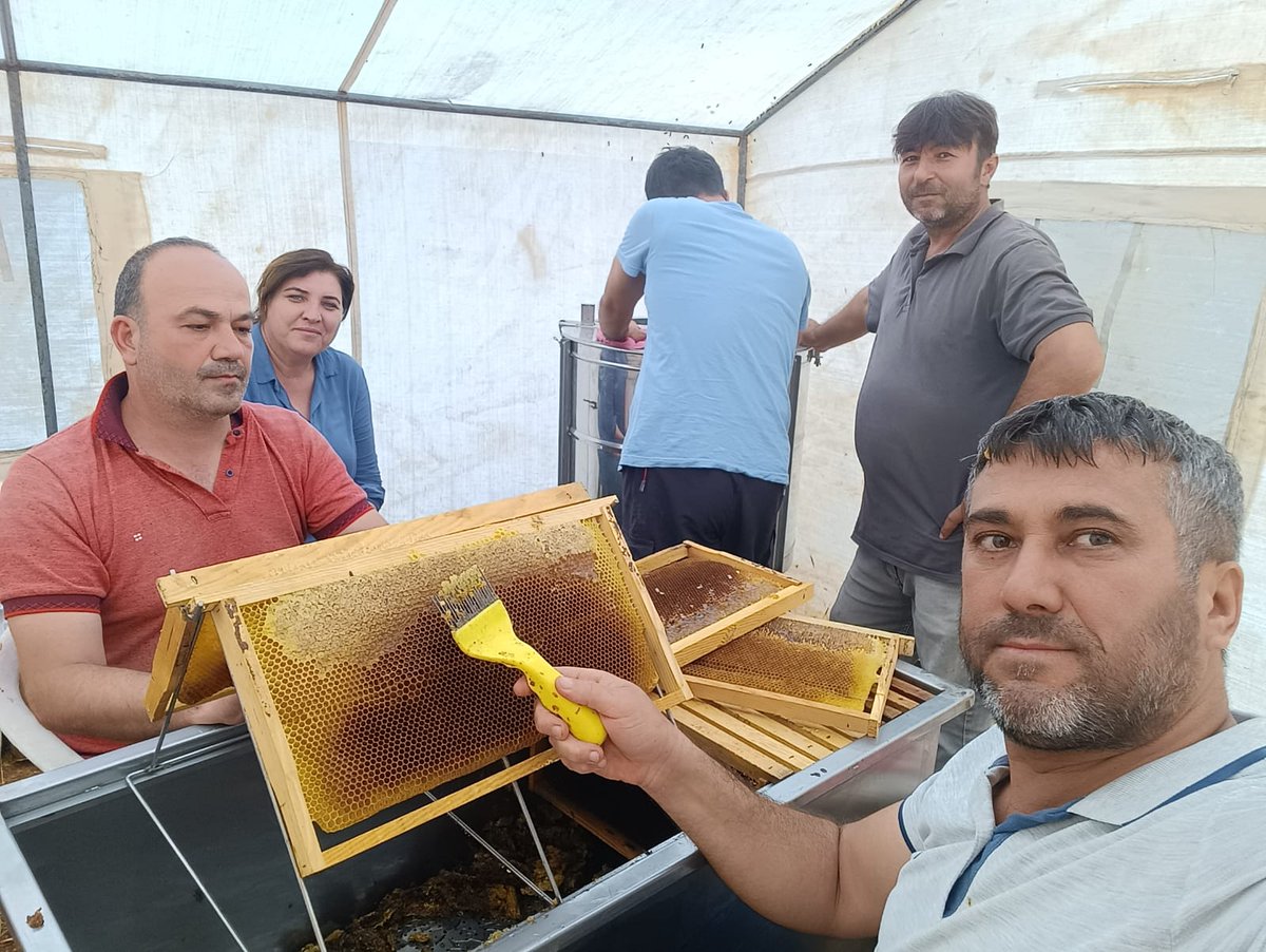 Alata Bahçe Kültürleri Araştırma Enstitüsü (@alatabkae) on Twitter photo Enstitümüze ait kovanlarda bal hasadı yapılmaya başlandı.
<a href="/TCTarim/">T.C. Tarım ve Orman Bakanlığı</a> <a href="/ibrahimyumakli/">İbrahim Yumaklı</a> <a href="/tagemgovtr/">Tarımsal Araştırmalar ve Politikalar Genel Md.</a> Enstitümüze ait kovanlarda bal hasadı yapılmaya başlandı.
<a href="/TCTarim/">T.C. Tarım ve Orman Bakanlığı</a> <a href="/ibrahimyumakli/">İbrahim Yumaklı</a> <a href="/tagemgovtr/">Tarımsal Araştırmalar ve Politikalar Genel Md.</a>