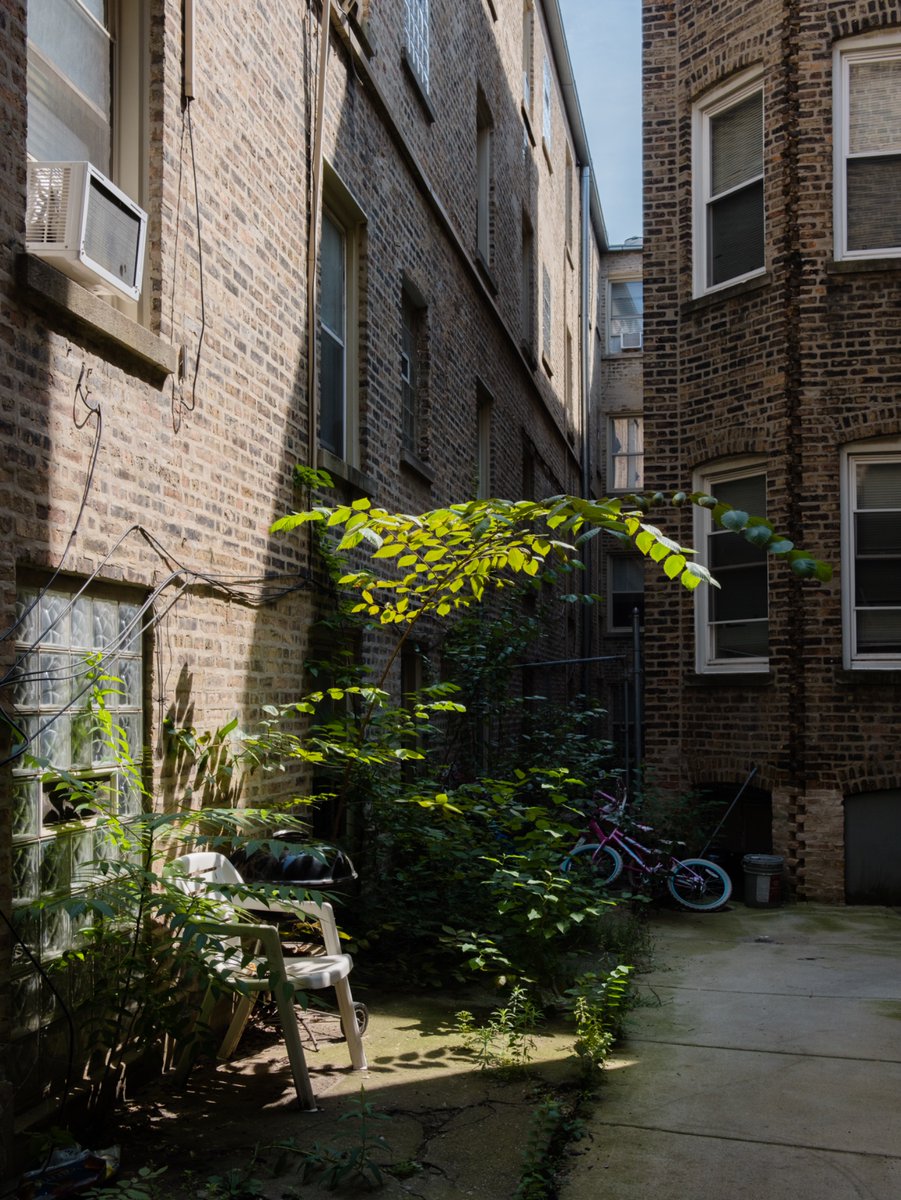 Mack (@regularmack) on Twitter photo 