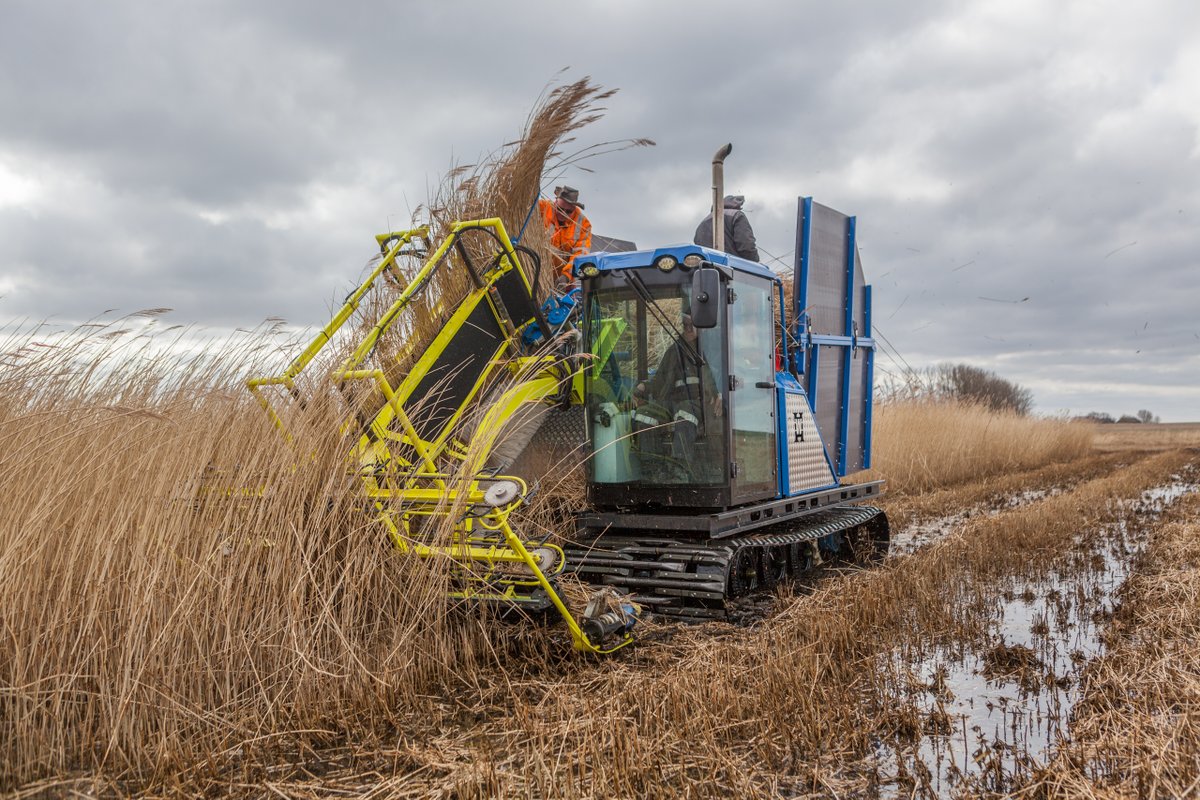 bmwfoundation's tweet image. Peatlands cover 3% of Earth&apos;s land but store twice the carbon of all forests. 

Restoring #peatlands by rewetting them, like the German #toMOORow initiative is doing about 90 kilometers north of Berlin, is urgently needed. Learn more 👉 bit.ly/40QUWU0 

#Decarbonization
