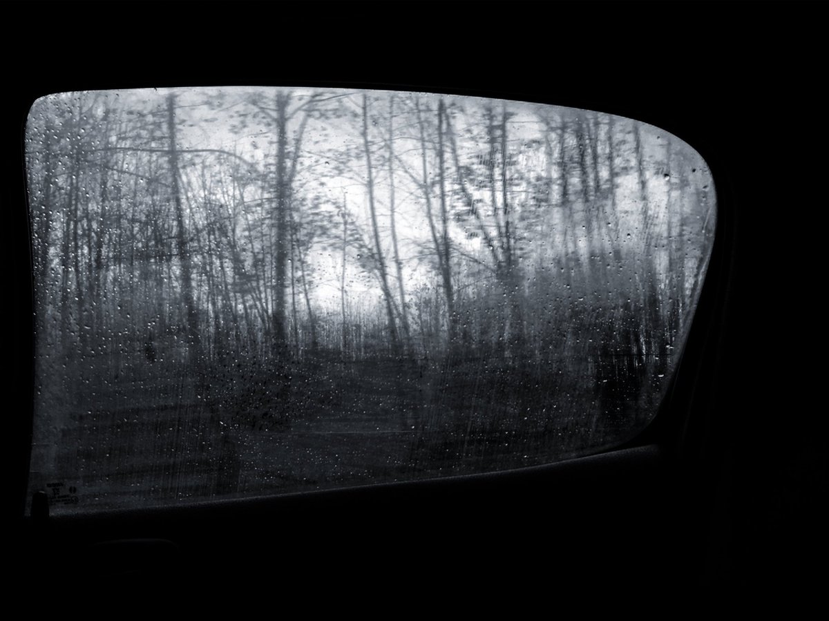 Photography on Tezos