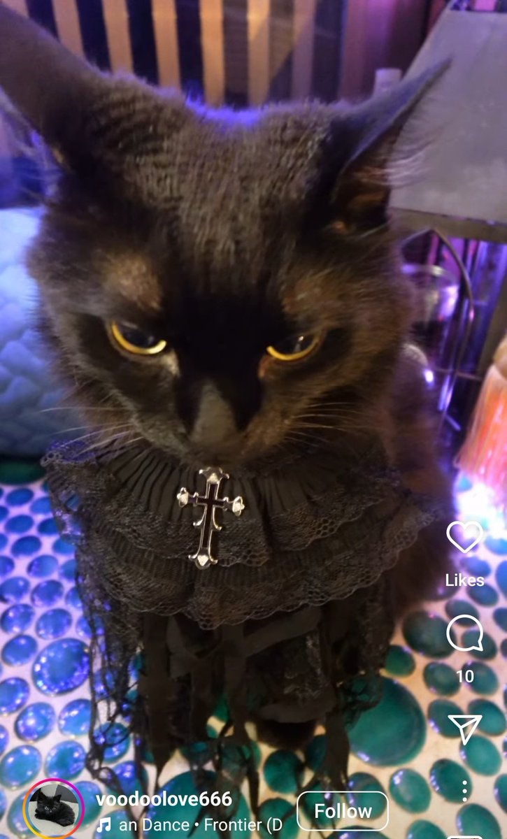 harrowhark nonameowsimus