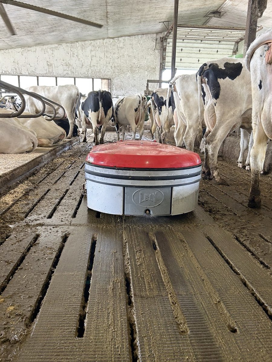 Recently installed at one of our customer farms, a Lely Discovery Collector!
This machine will now go around &amp; collect manure instead of scraping it, making manure build-up a thing of the past! This will help with less manure in stalls, keeping hooves, tails, and udders cleaner!