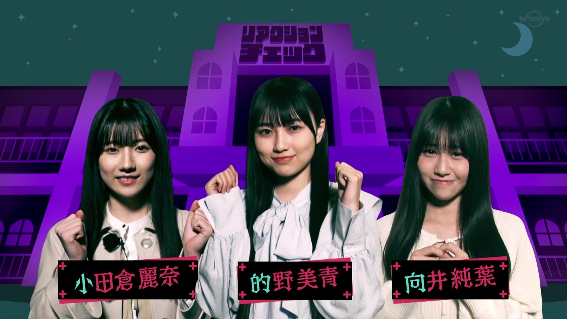 アイドル研究会編】乃木坂46・AKB48 ・(欅坂46)櫻坂46 まとめ33