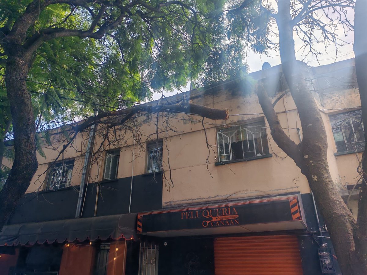 Personal de #ProtecciónCivil360 retiró una rama que cayó en cables de telefonía en calle Alfonso XIII, colonia Álamos.
No se reportan heridos ni afectaciones.
Seguimos atentos.