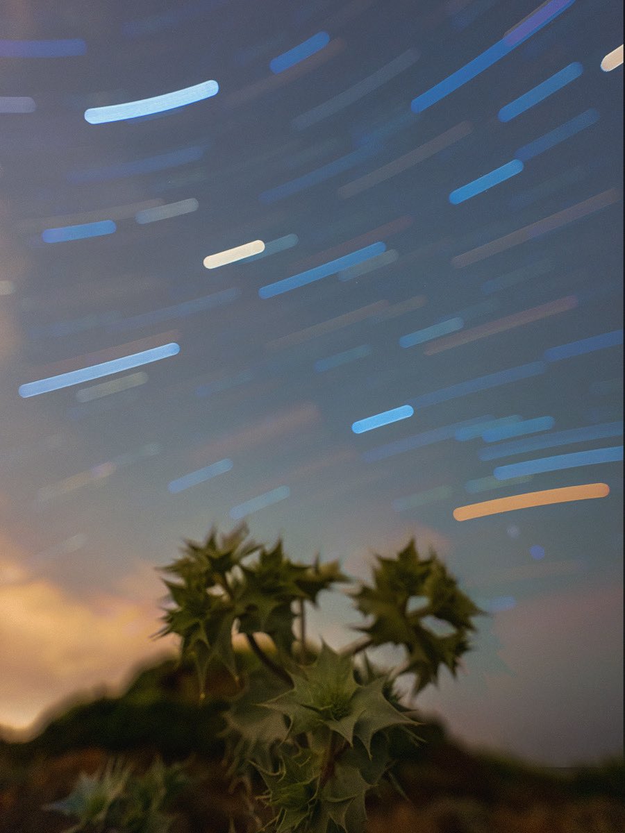 Pıtırak dikeni, Poyraz ve Yaşar Kemal💫 Mayıs 2025, Yunanistan