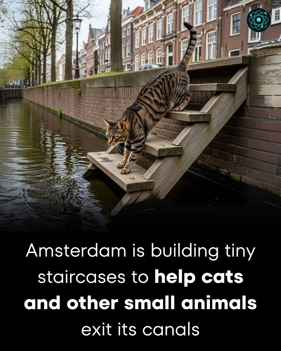 Good work, Amsterdam!
