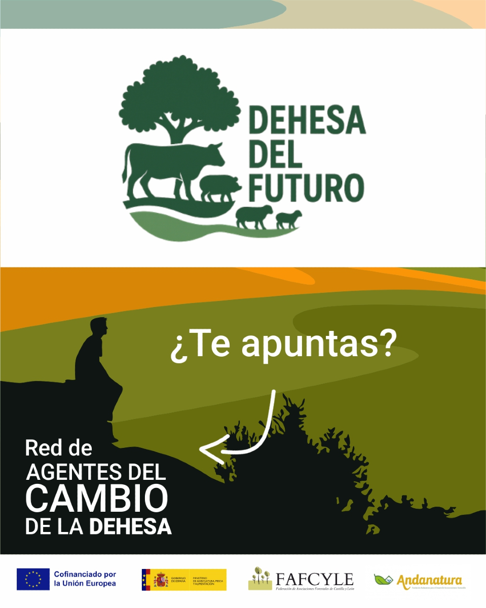 La Red de Agentes del Cambio de la Dehesa reúne a profesionales y entidades para impulsar una dehesa más rentable, sostenible e innovadora. Un espacio colaborativo para trabajar por su futuro.

¿Te apuntas?
📝f.mtr.cool/ithyluayix

#DehesadelFuturo  #Conectandoagentesdelcambio