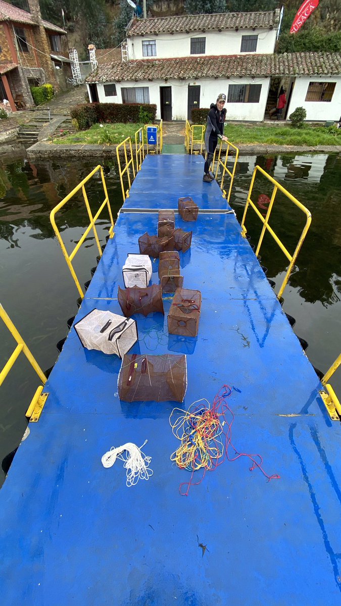 Carlos Lasso tweet media