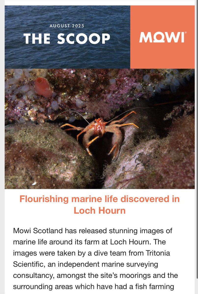 𝐍𝐞𝐰𝐬𝐥𝐞𝐭𝐭𝐞𝐫 | Our latest issue of our newsletter,  𝐓𝐡𝐞 𝐒𝐜𝐨𝐨𝐩 is out today! Featuring the latest news from our farms and our teams.
 
🌊 Flourishing marine life
🏆 Award winners
🚚 Salmon Wagon July tour

And lots more, 
mowi.com/uk/blog/2025/0…