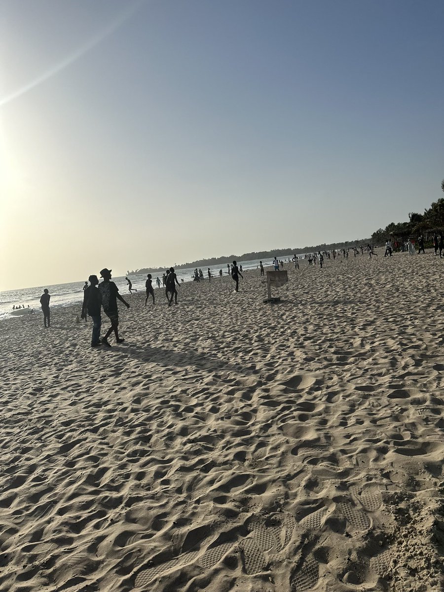 Gambia jungle beach 🏖️💓